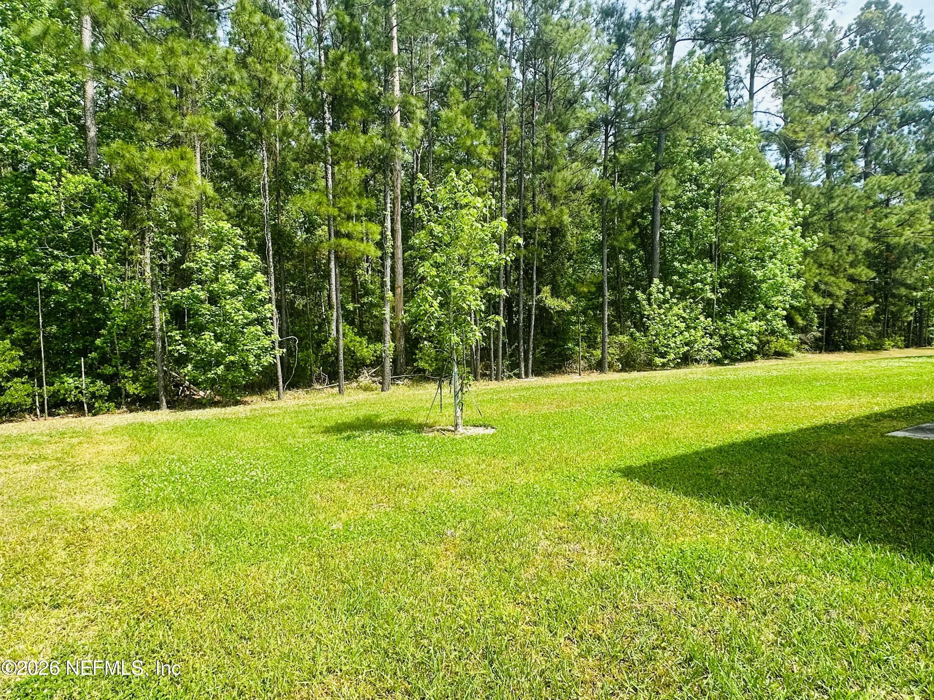 12573 Green Meadow Drive Jacksonville FL 32218