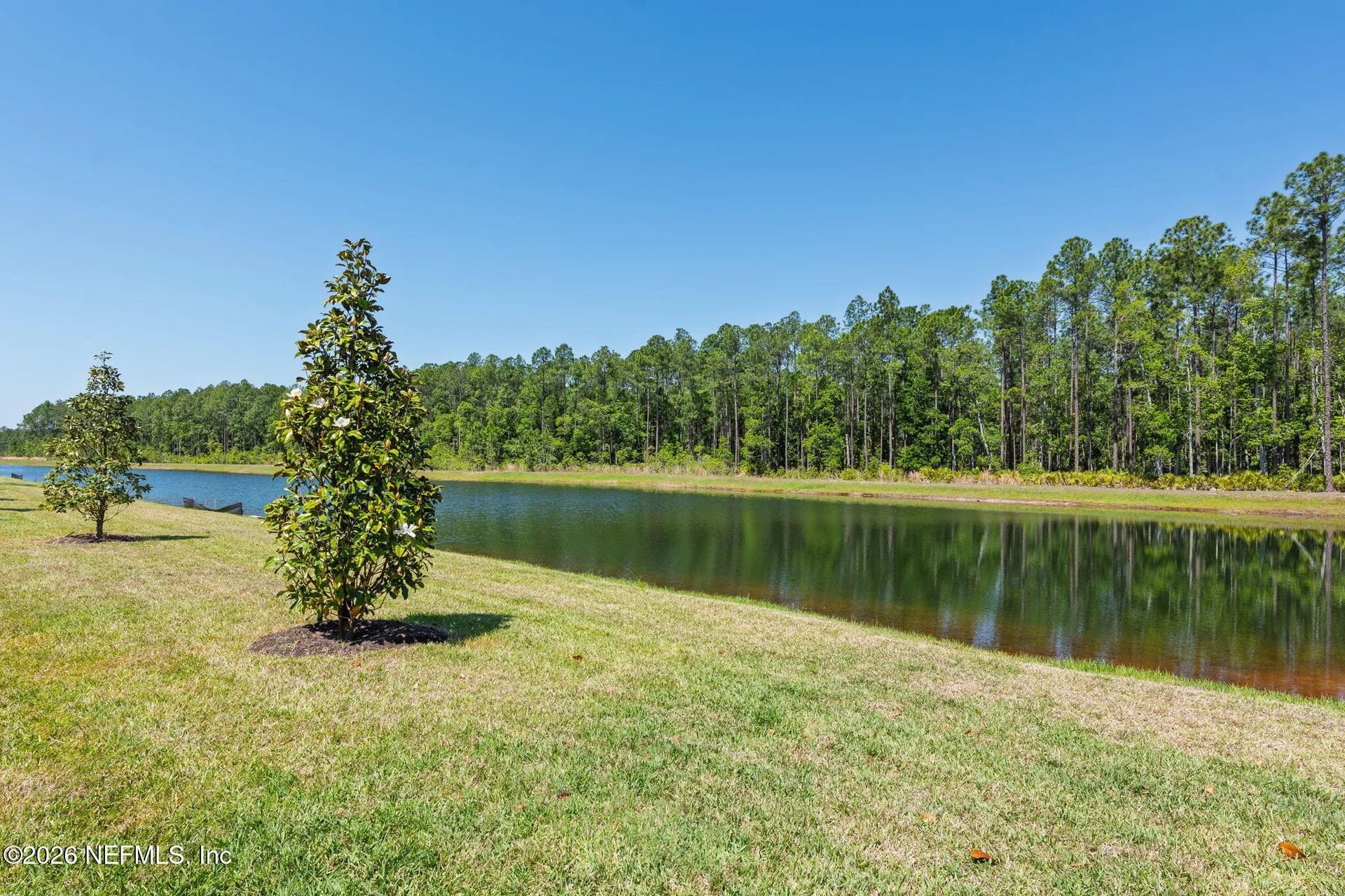 71 Delwood Way St. Augustine FL 32092