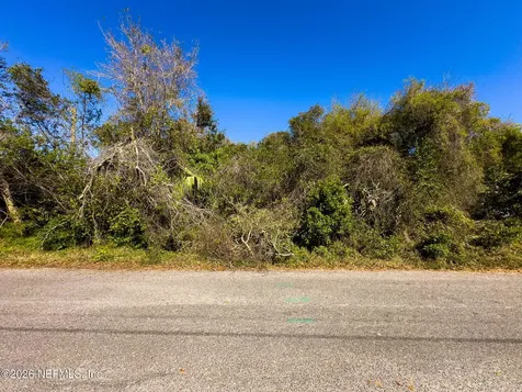 58 Atlantic Oaks Circle St. Augustine FL 32080