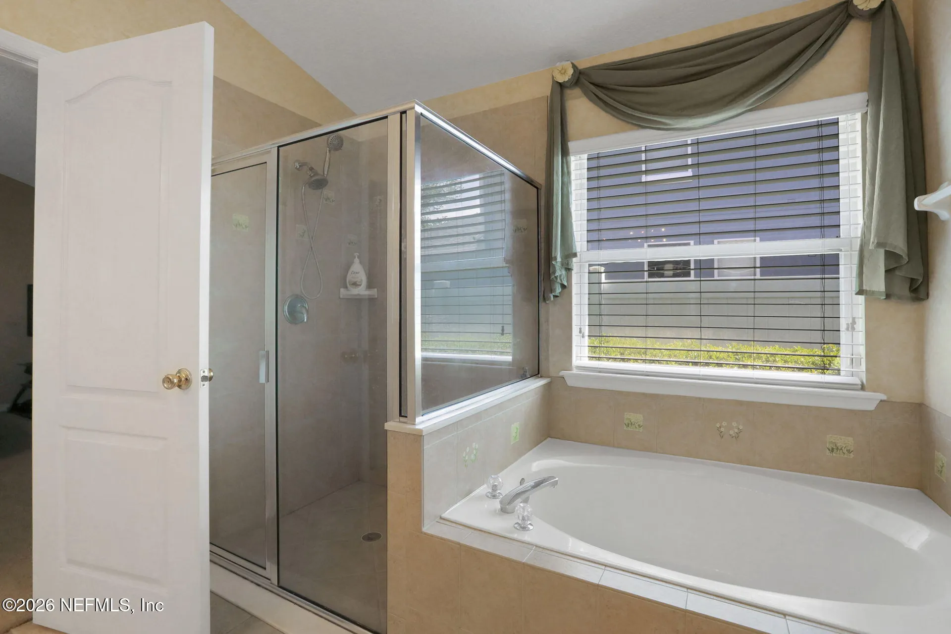 13745 Victoria Lakes Drive Jacksonville FL 32226