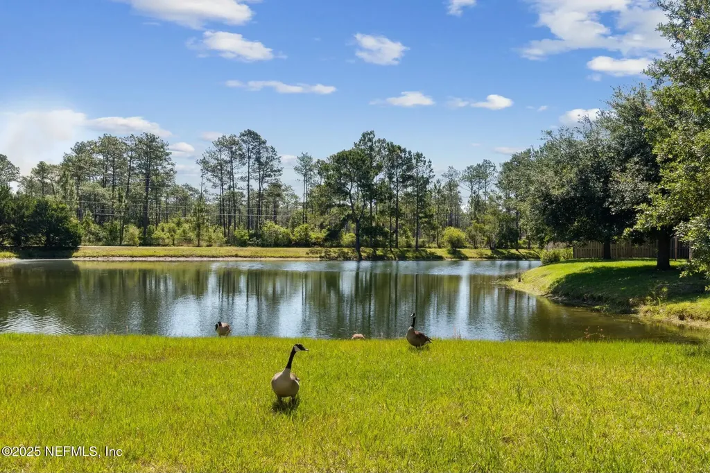 12677 Pine Marsh Way Jacksonville FL 32226