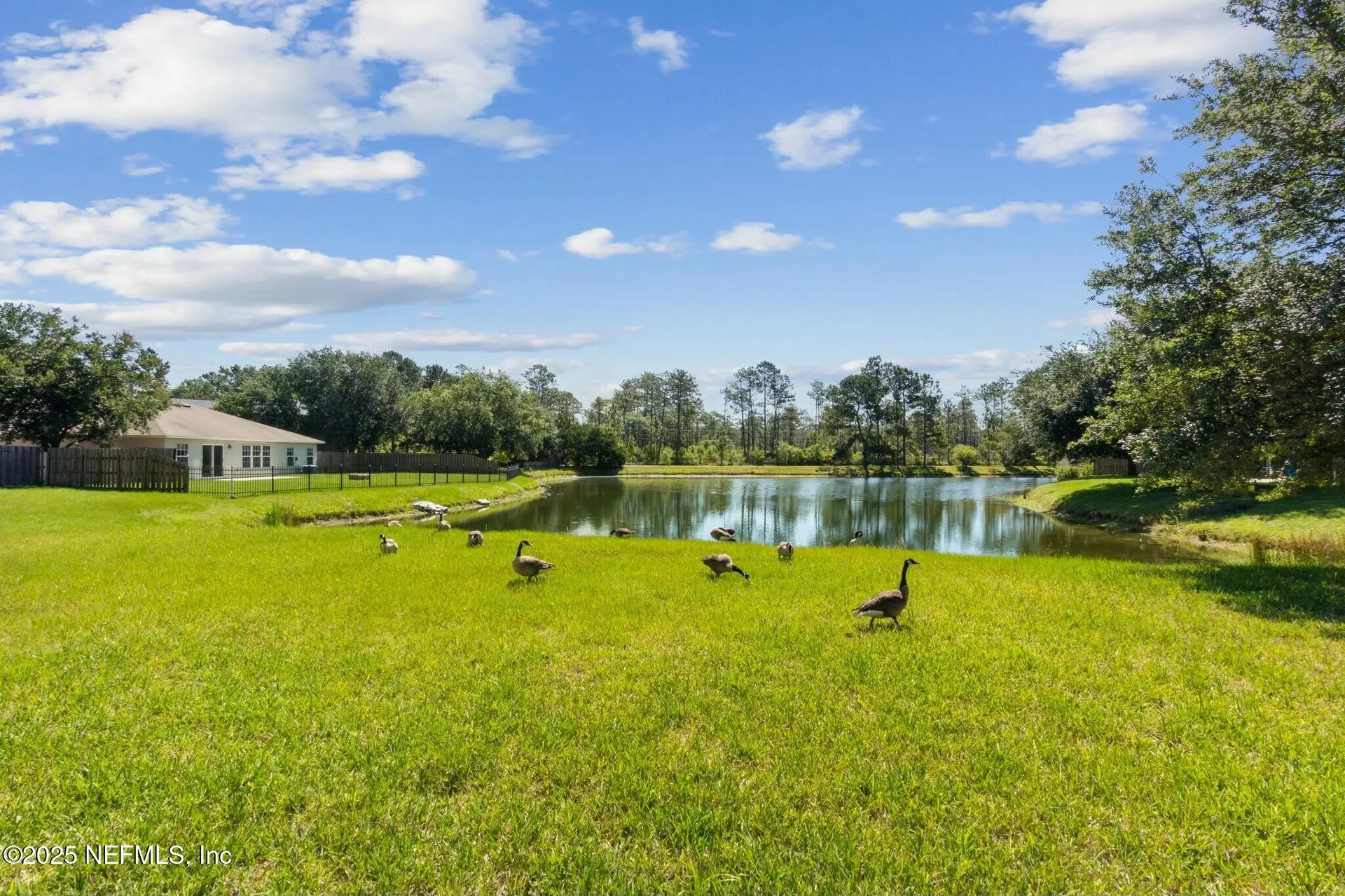 12677 Pine Marsh Way Jacksonville FL 32226
