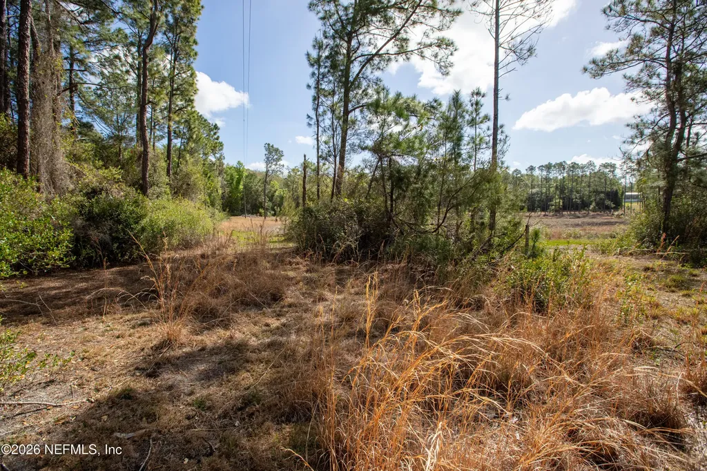 1320 County Road 315 Melrose FL 32666