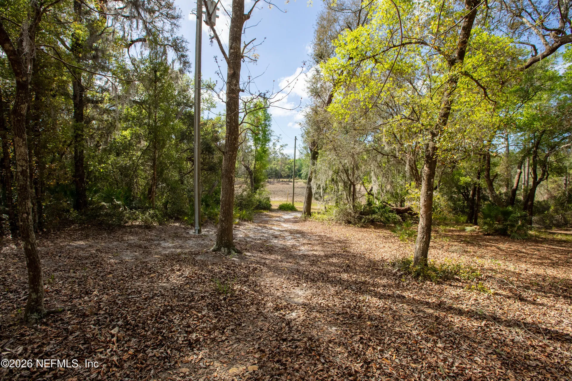 1320 County Road 315 Melrose FL 32666