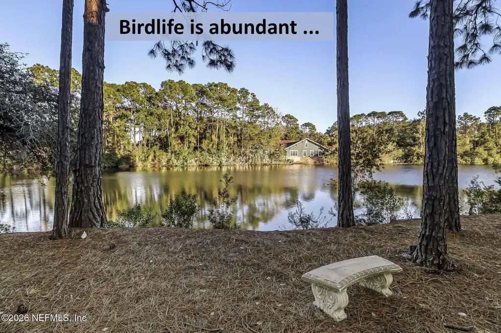 1637 Olmsted Lane Fernandina Beach FL 32034
