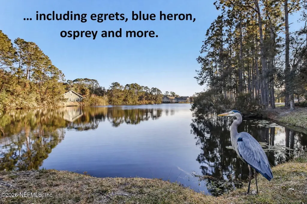1637 Olmsted Lane Fernandina Beach FL 32034