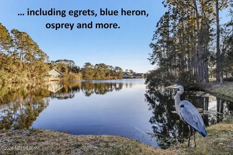 1637 Olmsted Lane Fernandina Beach FL 32034