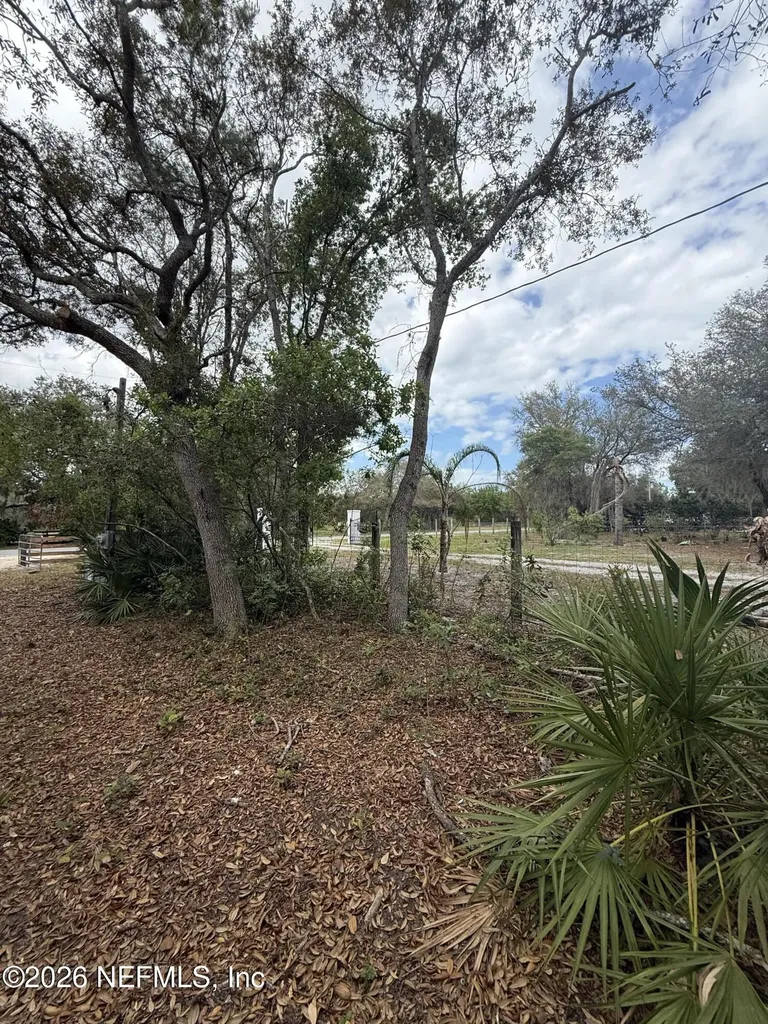 228 Browns Hammock Road Crescent City FL 32112