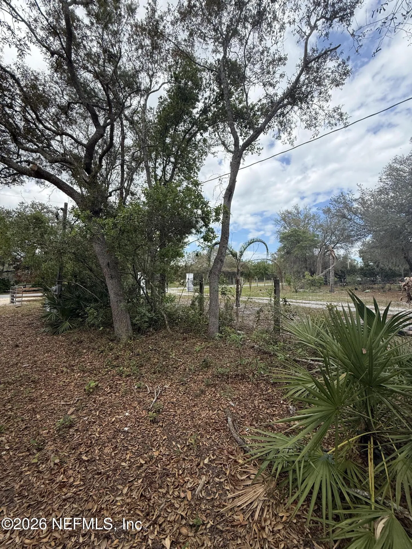 228 Browns Hammock Road Crescent City FL 32112