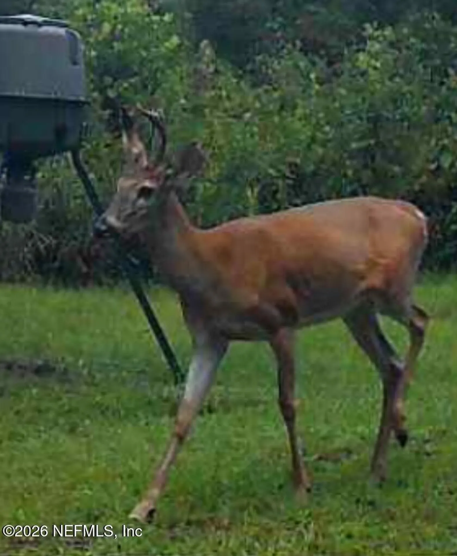 9910 W State Road 100 Starke FL 32091