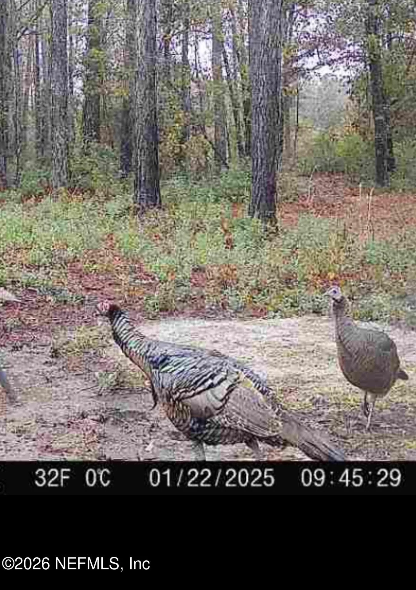 9910 W State Road 100 Starke FL 32091