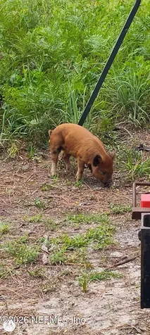 9910 W State Road 100 Starke FL 32091