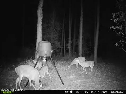 9910 W State Road 100 Starke FL 32091
