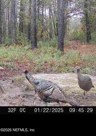 9910 W State Road 100 Starke FL 32091