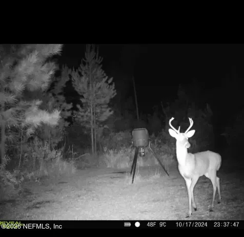 9910 W State Road 100 Starke FL 32091