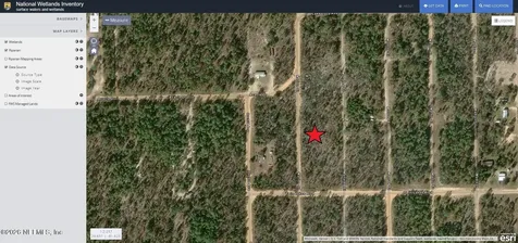 206 Marion Trail Interlachen FL 32148