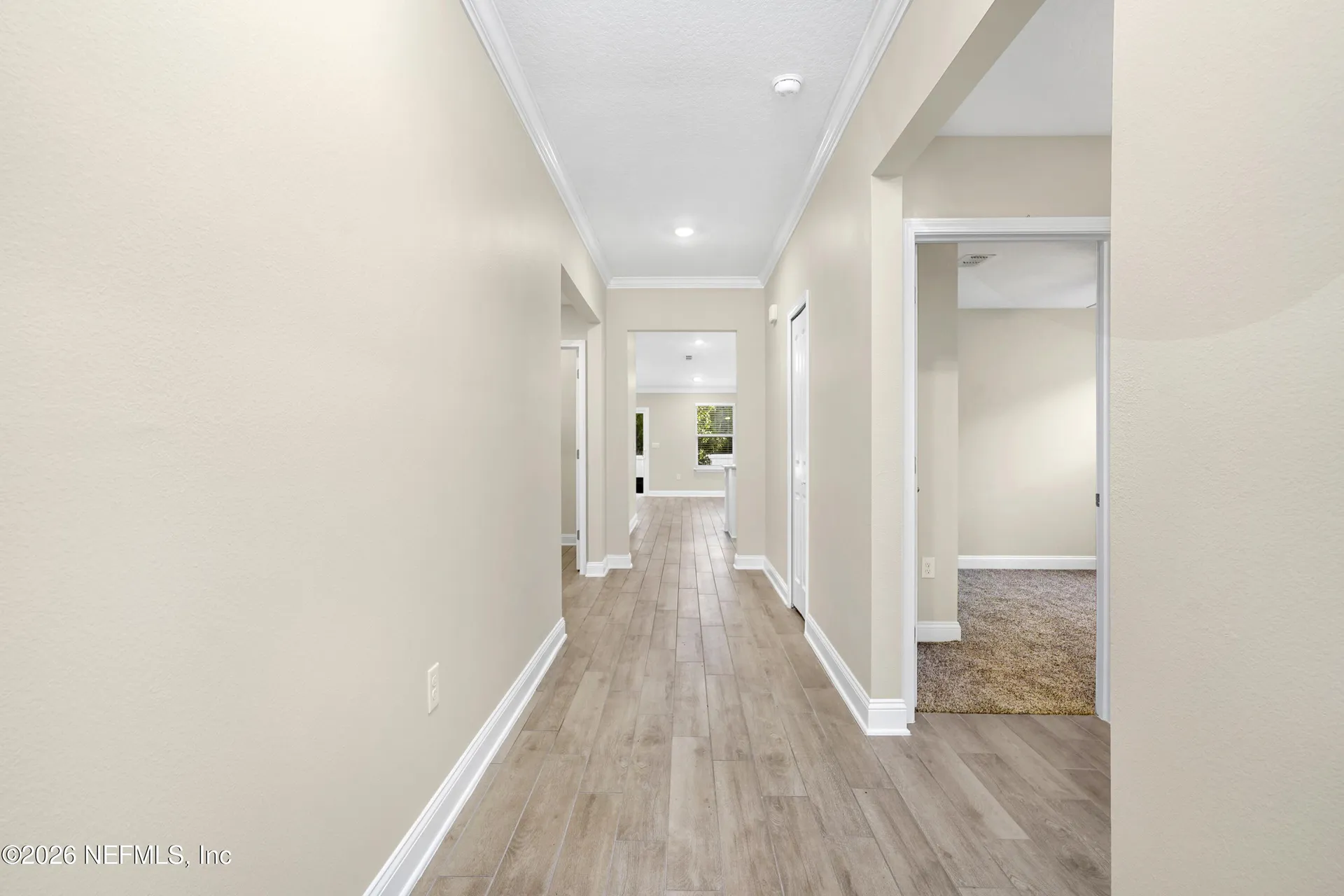 203 Narvarez Avenue St. Augustine FL 32084