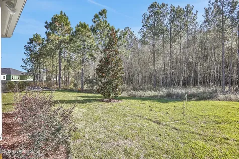 3229 Willowleaf Lane Green Cove Springs FL 32043