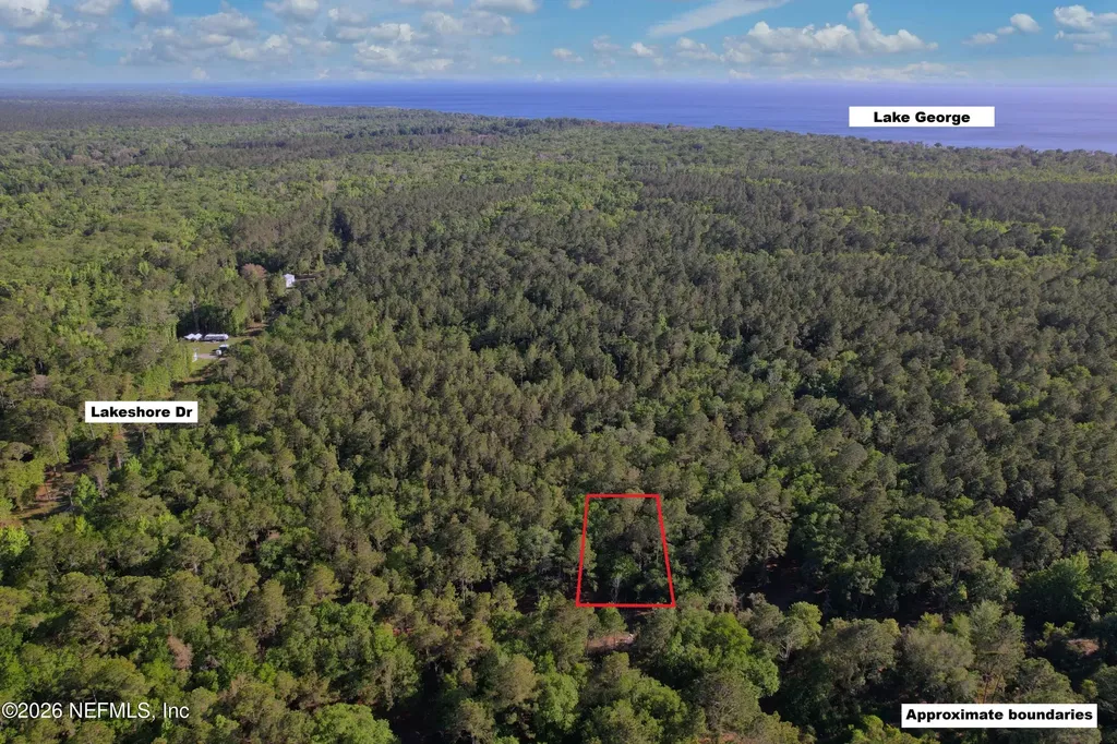 329 Chipola Drive Georgetown FL 32139