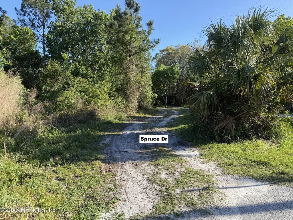329 Chipola Drive Georgetown FL 32139