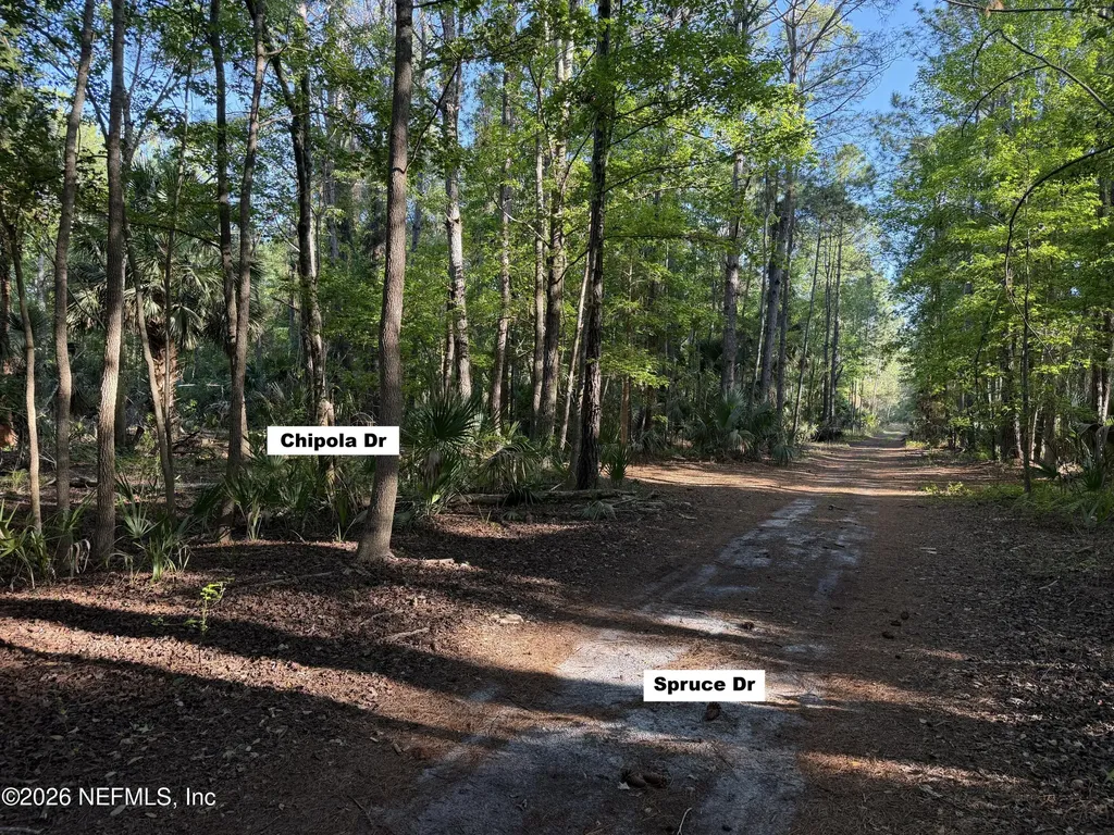 329 Chipola Drive Georgetown FL 32139