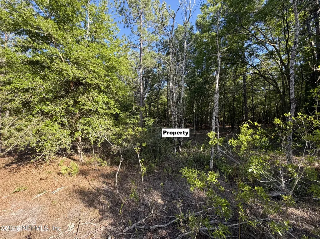 329 Chipola Drive Georgetown FL 32139