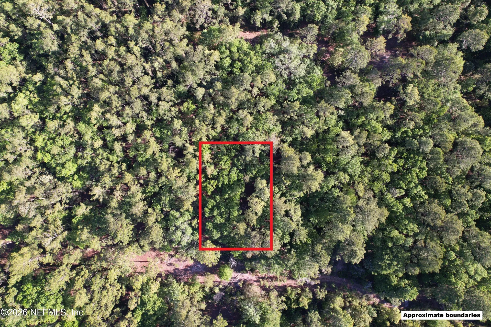 329 Chipola Drive Georgetown FL 32139