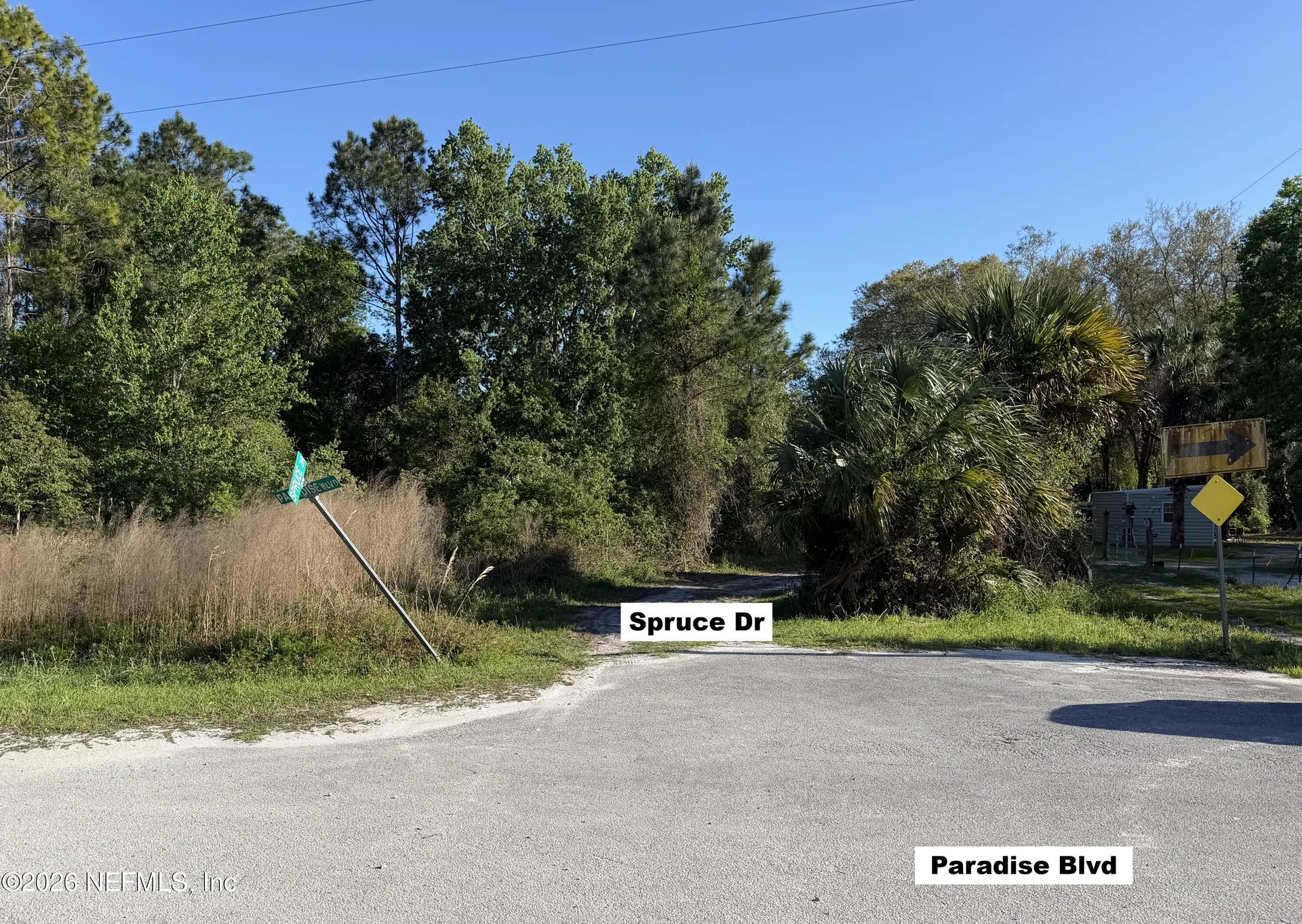 329 Chipola Drive Georgetown FL 32139