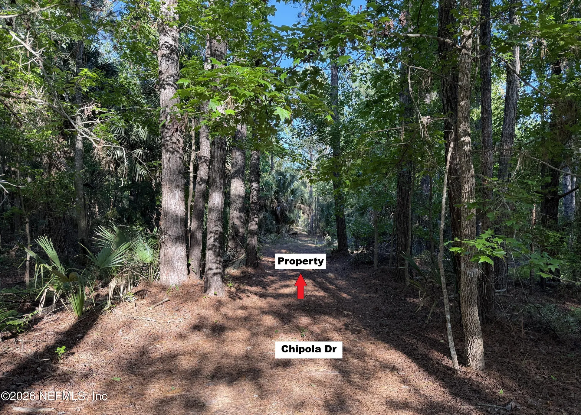 329 Chipola Drive Georgetown FL 32139