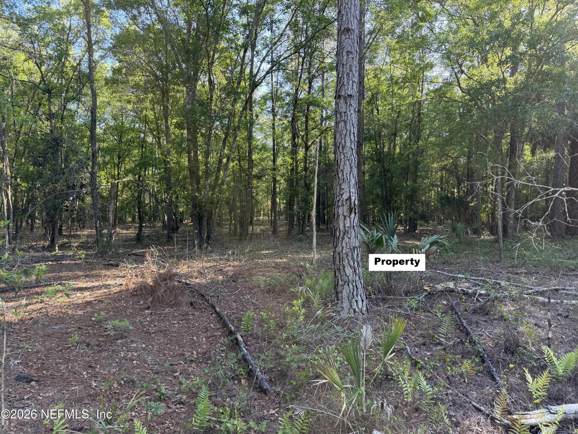329 Chipola Drive Georgetown FL 32139