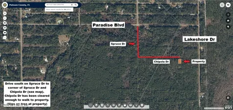 329 Chipola Drive Georgetown FL 32139