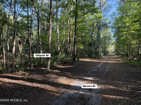 329 Chipola Drive Georgetown FL 32139