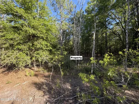 329 Chipola Drive Georgetown FL 32139