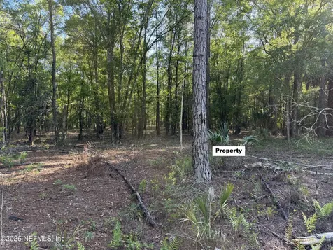 329 Chipola Drive Georgetown FL 32139