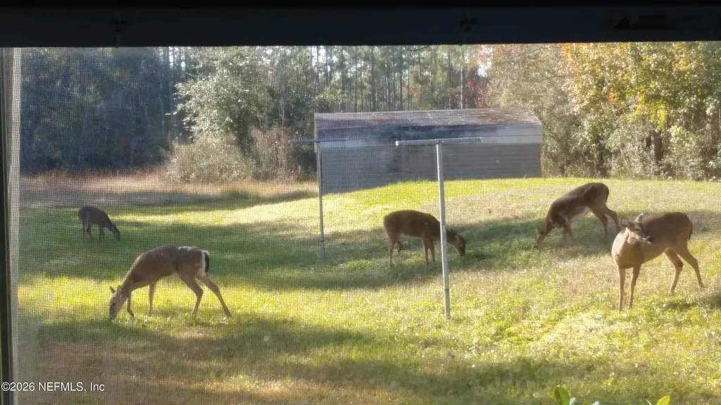 18098 Wells Road Jacksonville FL 32234