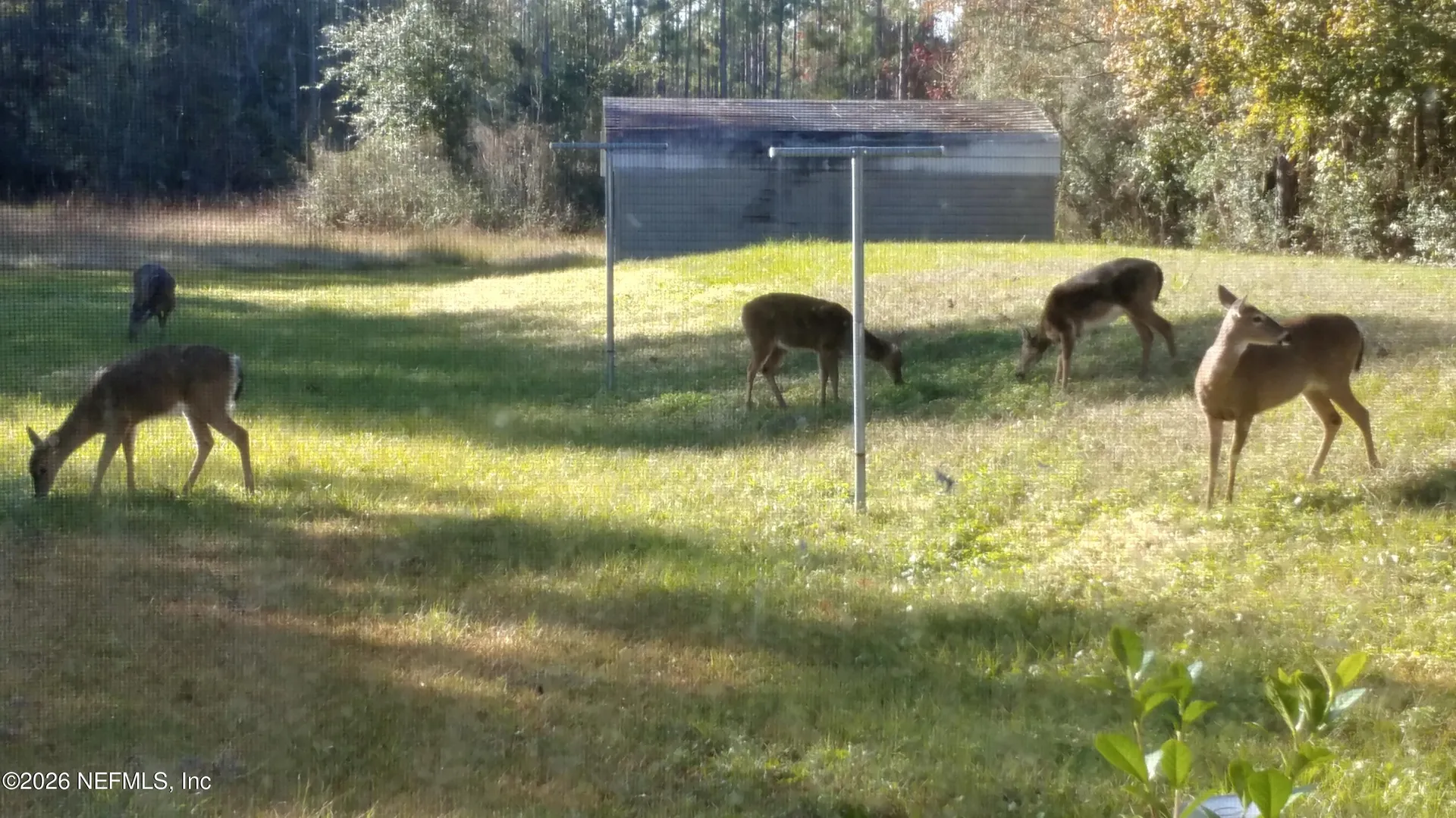 18098 Wells Road Jacksonville FL 32234