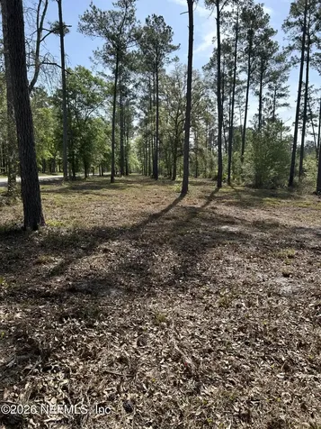 0 NW Falling Creek Road Lake City FL 32055
