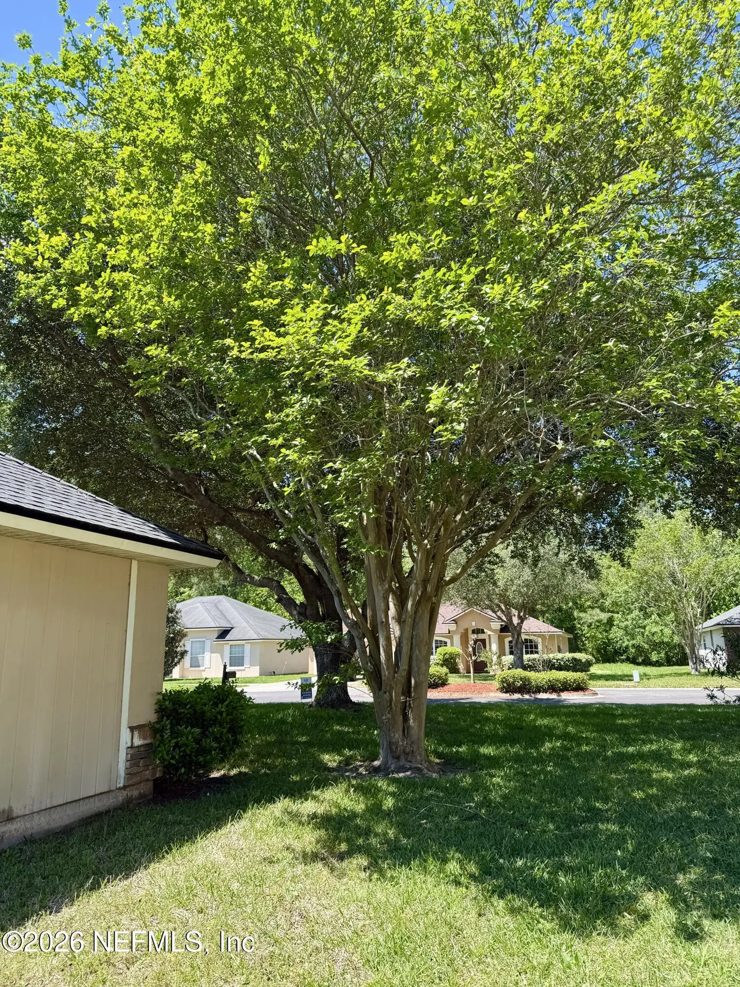 11017 Apple Blossom Trail W Jacksonville FL 32218