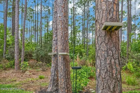 247 Flores Way St. Johns FL 32259