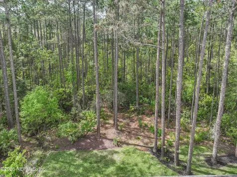 247 Flores Way St. Johns FL 32259