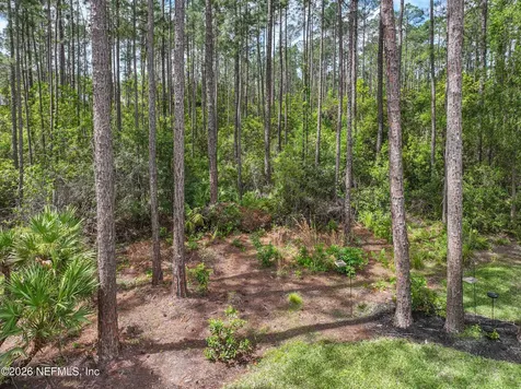 247 Flores Way St. Johns FL 32259