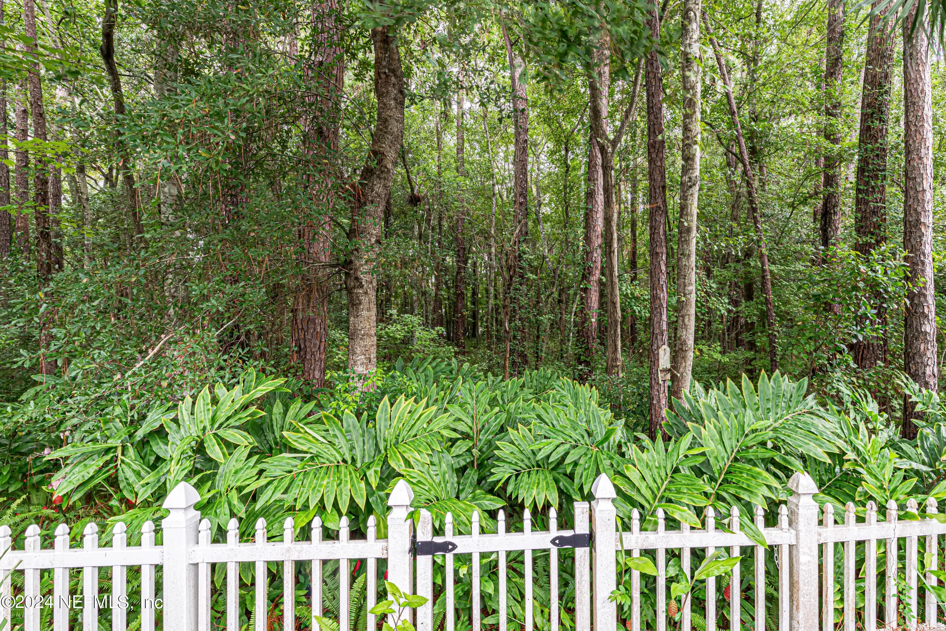 1527 Marble Lake Drive Jacksonville FL 32221