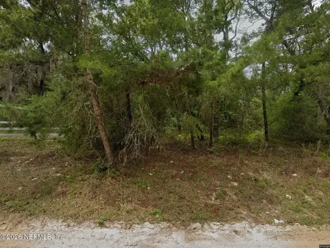 103 Riverside Trail Satsuma FL 32189