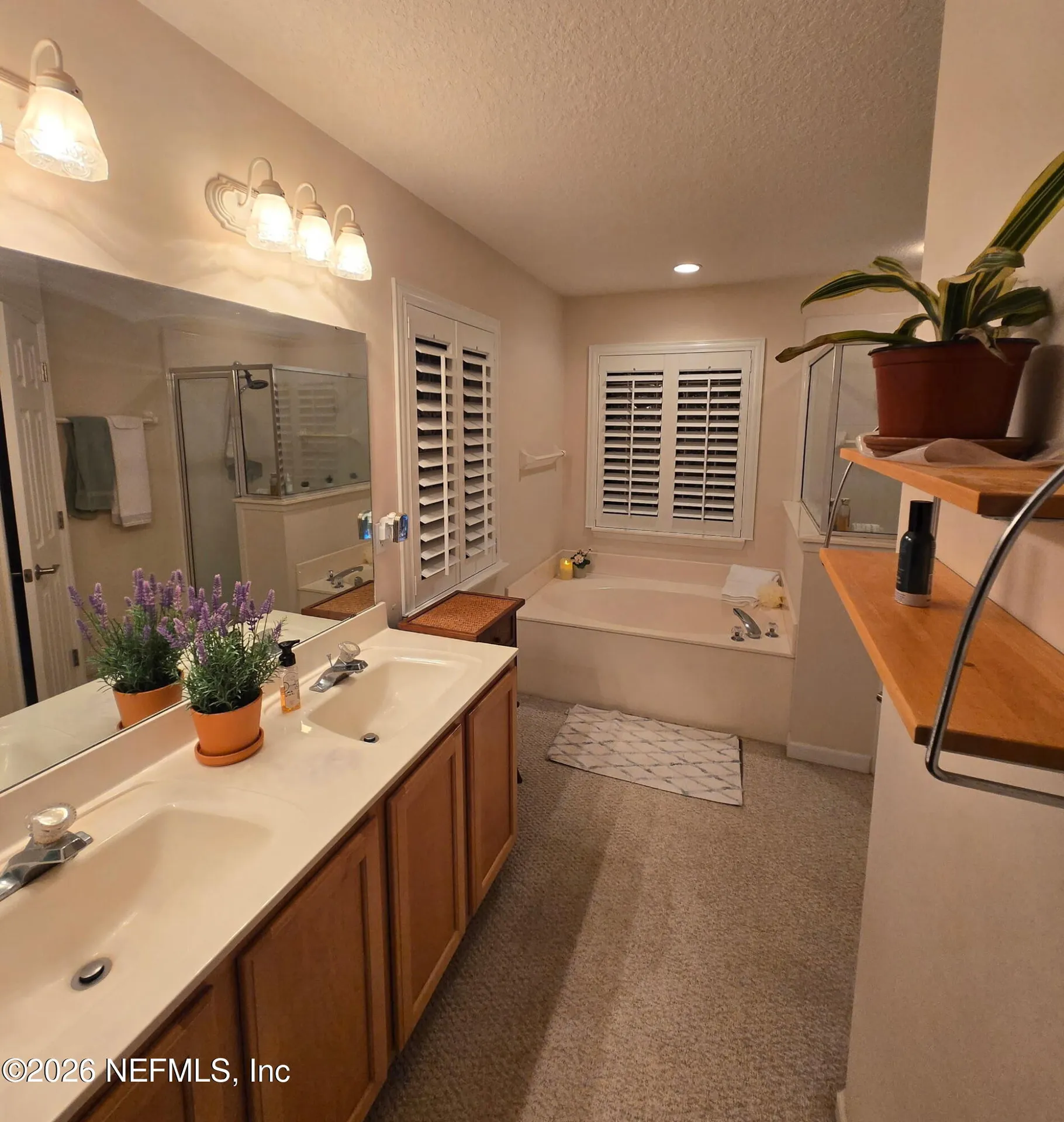 1424 Tintern Lane St. Augustine FL 32092