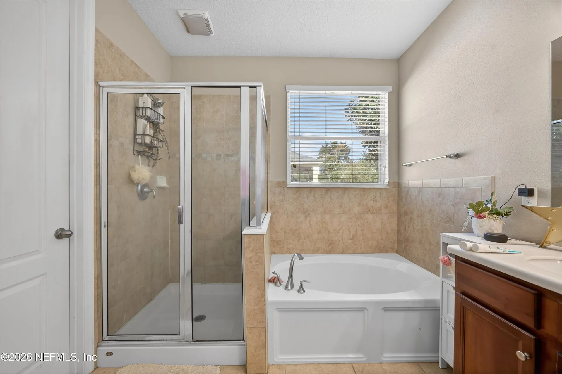 12118 Wynnfield Lakes Circle Jacksonville FL 32246