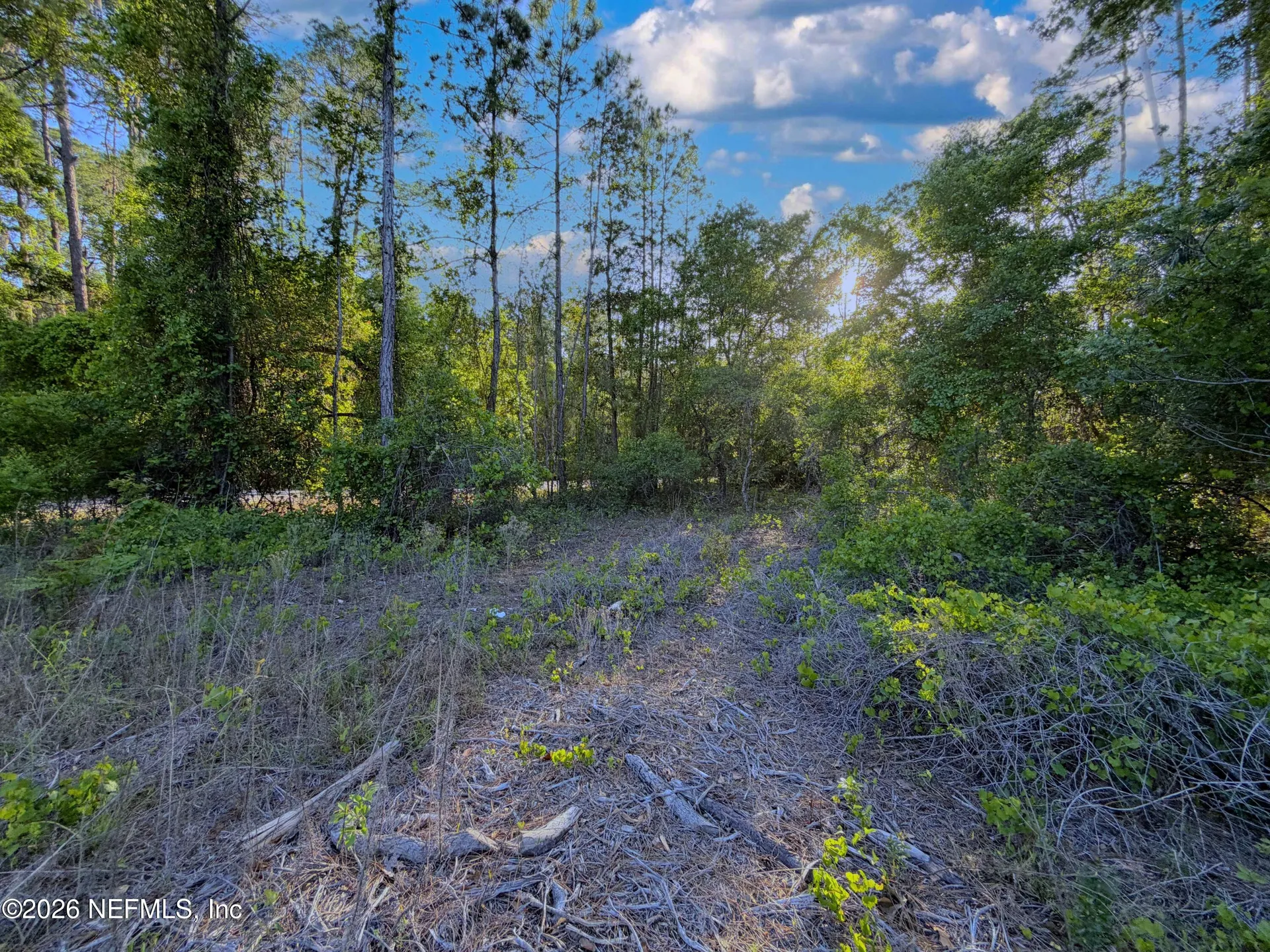 140 Hazel Avenue Georgetown FL 32139