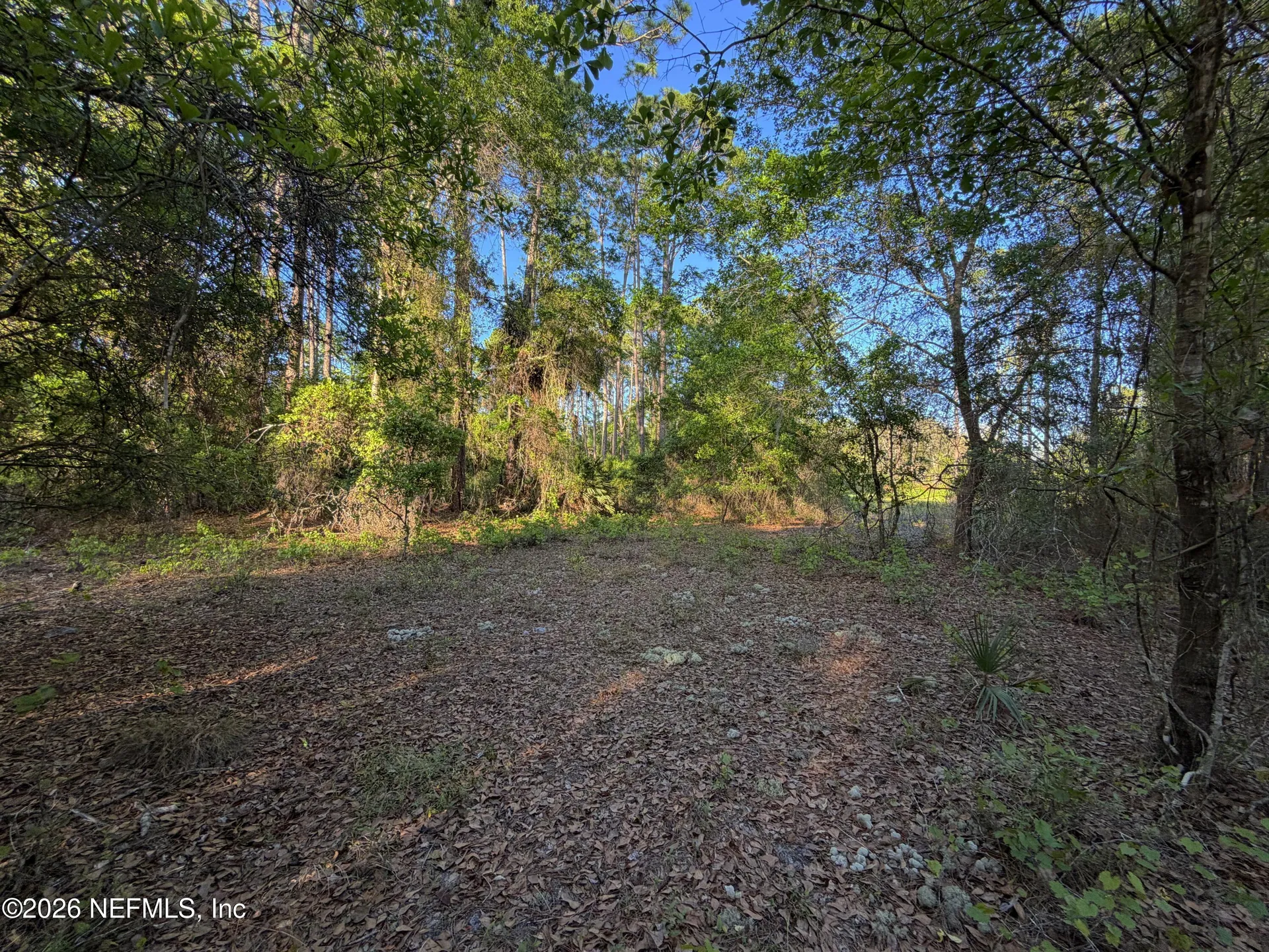 140 Hazel Avenue Georgetown FL 32139