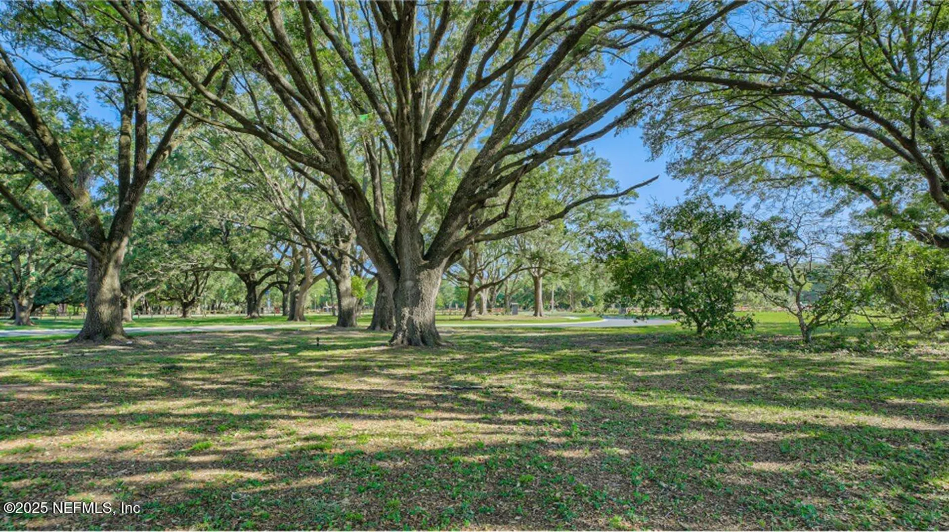 2980 Adelaide Road Green Cove Springs FL 32043