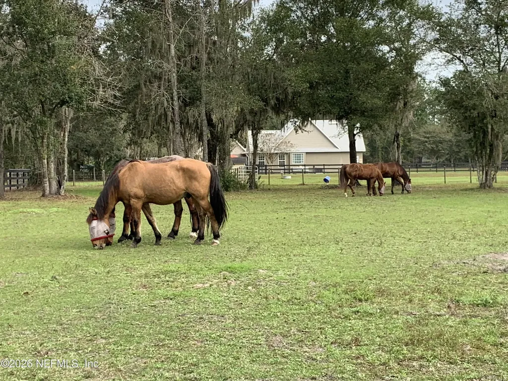7006 County Road 208 St. Augustine FL 32092