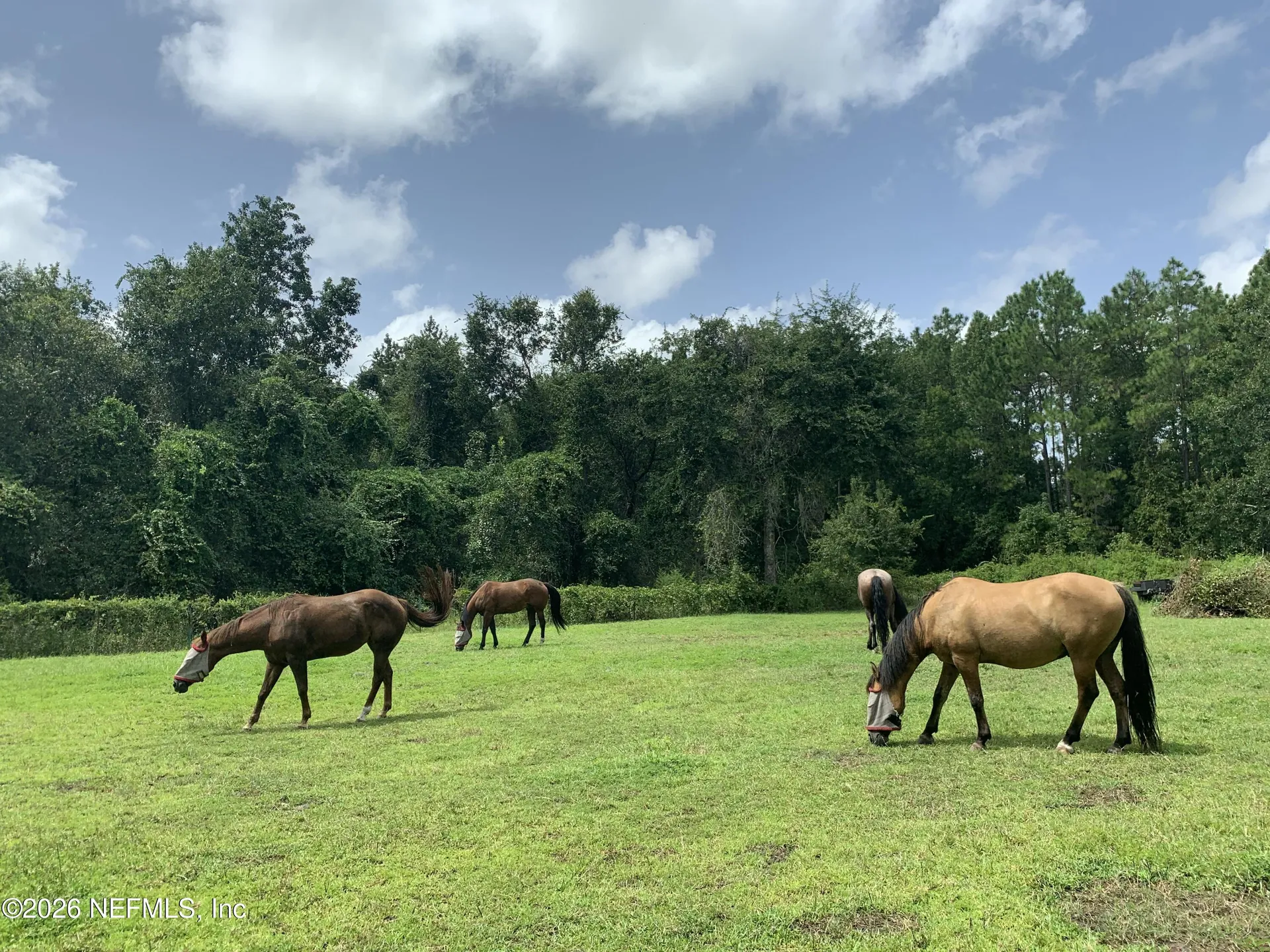 7006 County Road 208 St. Augustine FL 32092